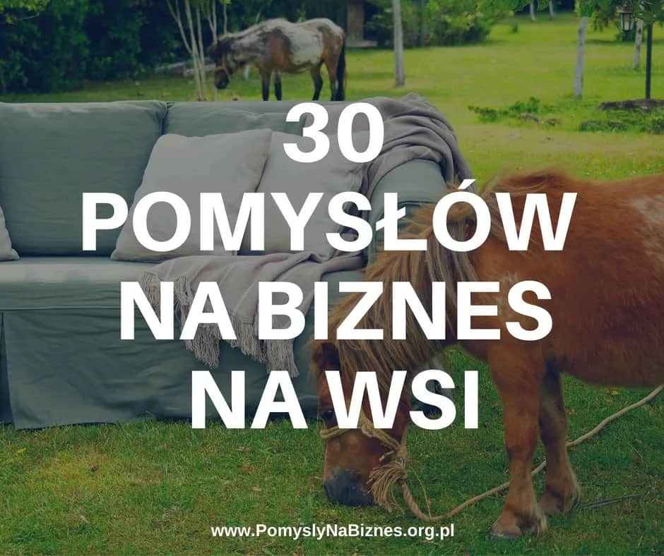 Jakie biznesy otworzyć na wsi, aby uniknąć porażki i zyskać?