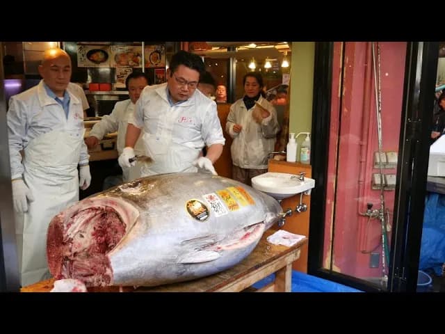 Koszt kilogramu suma: Ile kosztuje kilogram suma i świeżego tuńczyka?